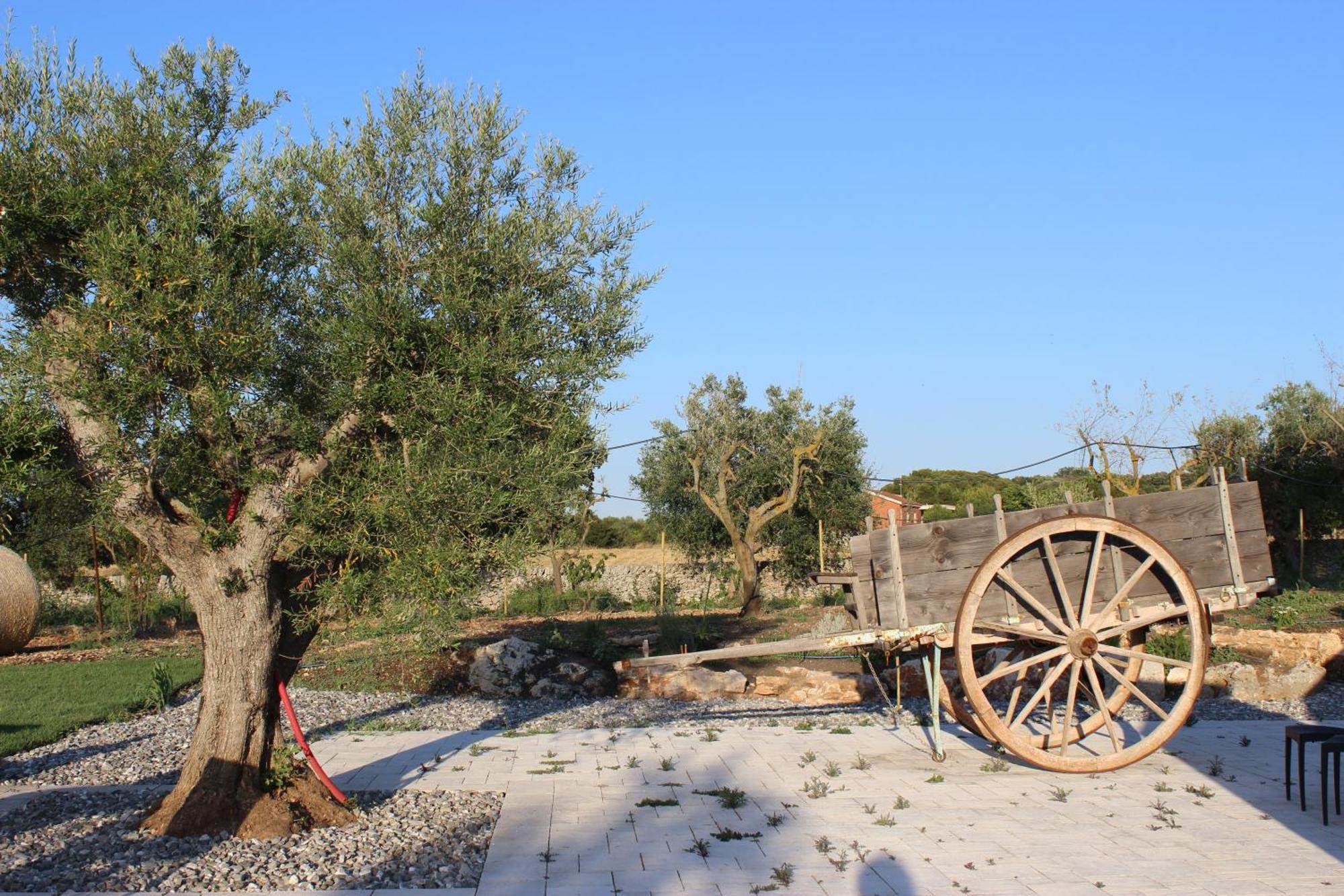 Masseria Stella Gioia Del Colle Dış mekan fotoğraf